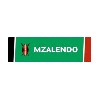 Mzalendo Trust